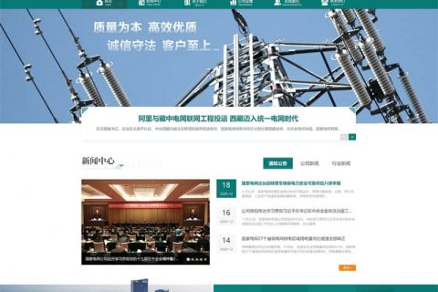 西藏中試電力科學技術服務有限責任公司